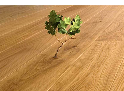 Eco-Friendly Laminate Floors